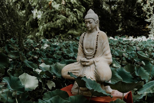 buddhism and meditation