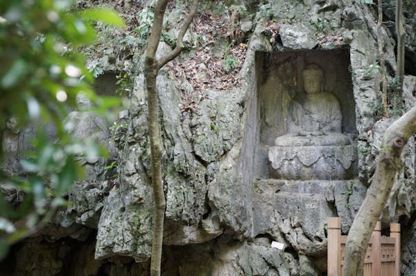 buddhism vipassana meditation